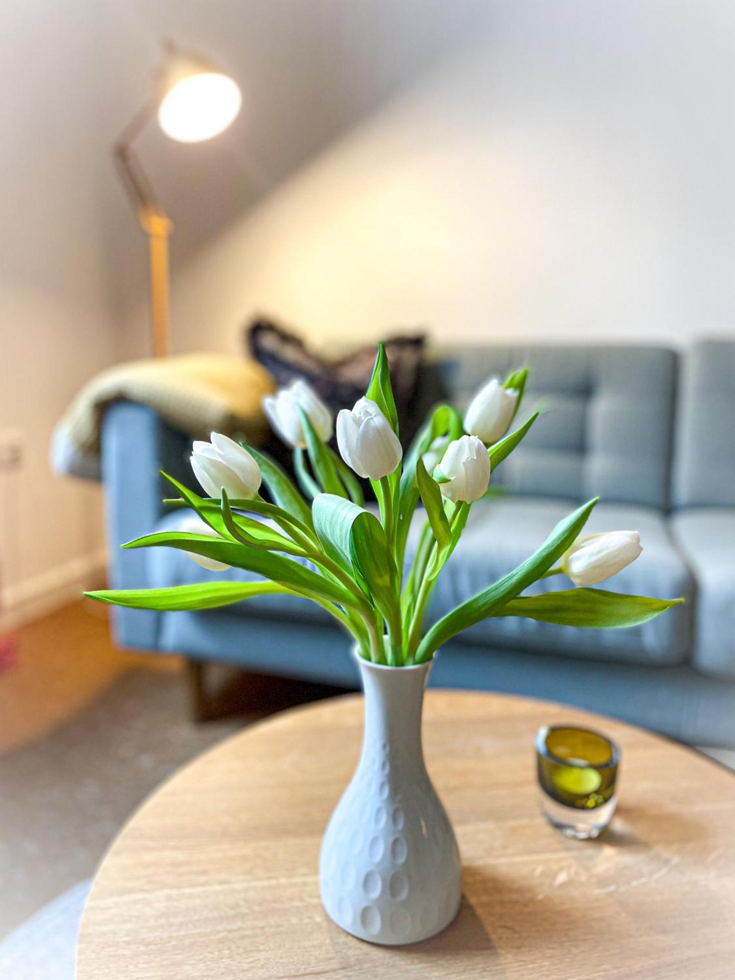 Apartments "Am Rheinorange", Netflix & Prime Duisburg Luaran gambar