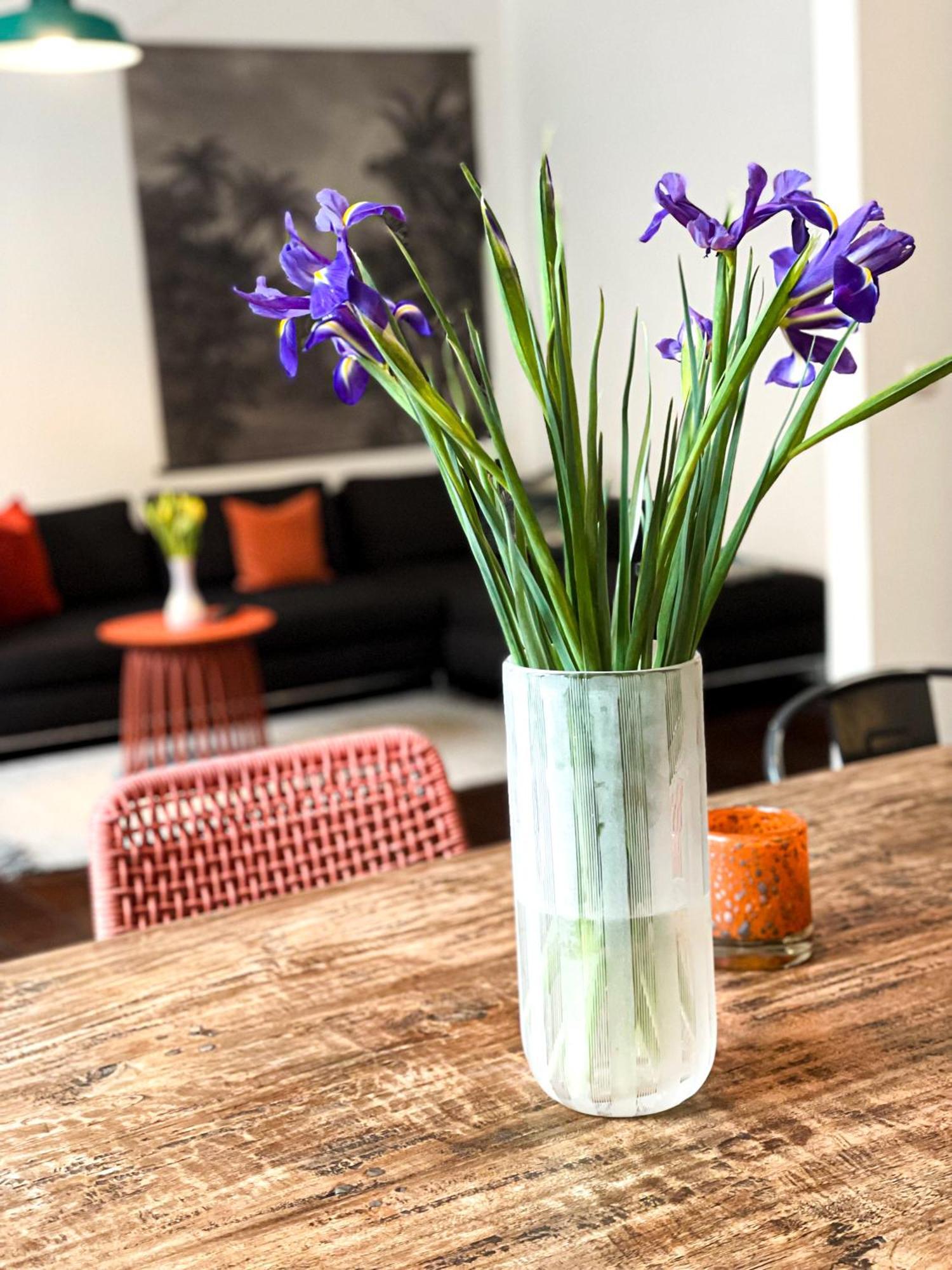 Apartments "Am Rheinorange", Netflix & Prime Duisburg Luaran gambar